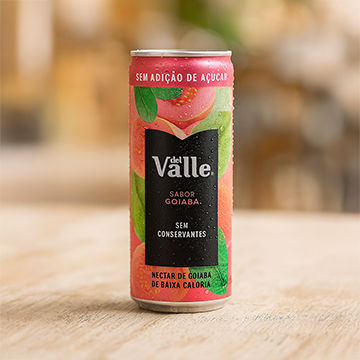 Suco Dell Vale Lata 290ml (Goiaba)